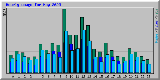 Hourly usage for May 2025