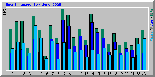Hourly usage for June 2025