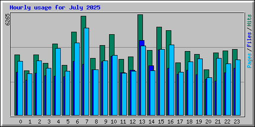 Hourly usage for July 2025