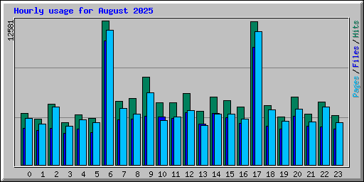 Hourly usage for August 2025