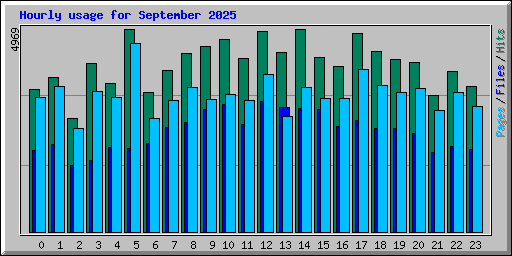 Hourly usage for September 2025
