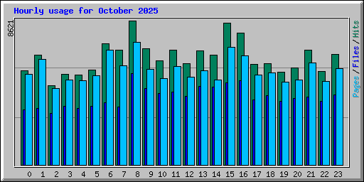 Hourly usage for October 2025