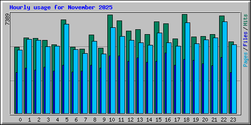 Hourly usage for November 2025
