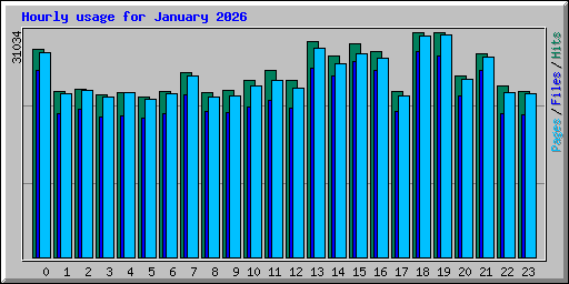 Hourly usage for January 2026