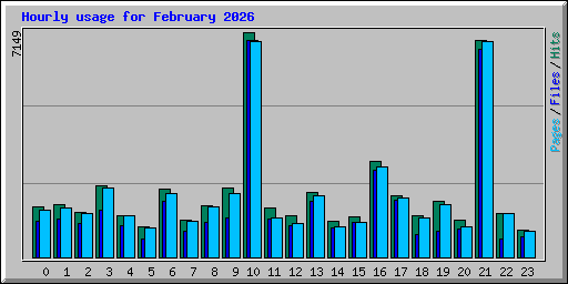 Hourly usage for February 2026